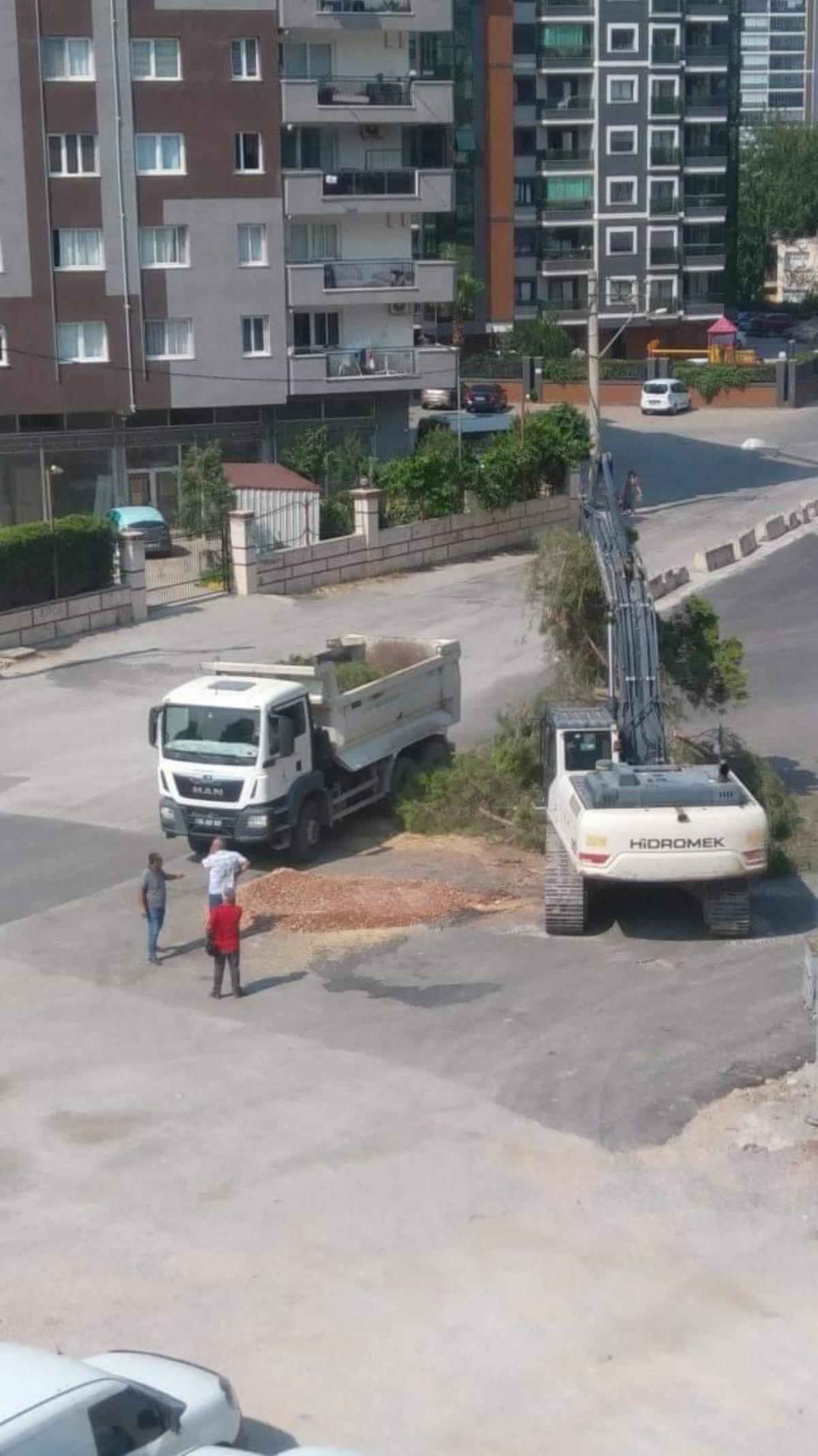İzmir politika haberleri: İzmir’de ‘yarım asırlık ağacın kesilmesi’ tartışması (2)