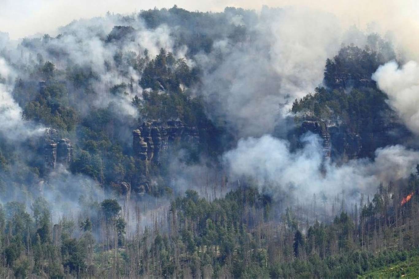 Almanya’da Harz Dağları’nda çıkan orman yangını nedeniyle acil durum ilan edildi