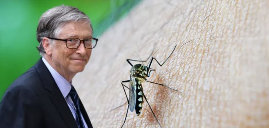 Bill Gates sivrisinek fabrikası kurdu iddiası