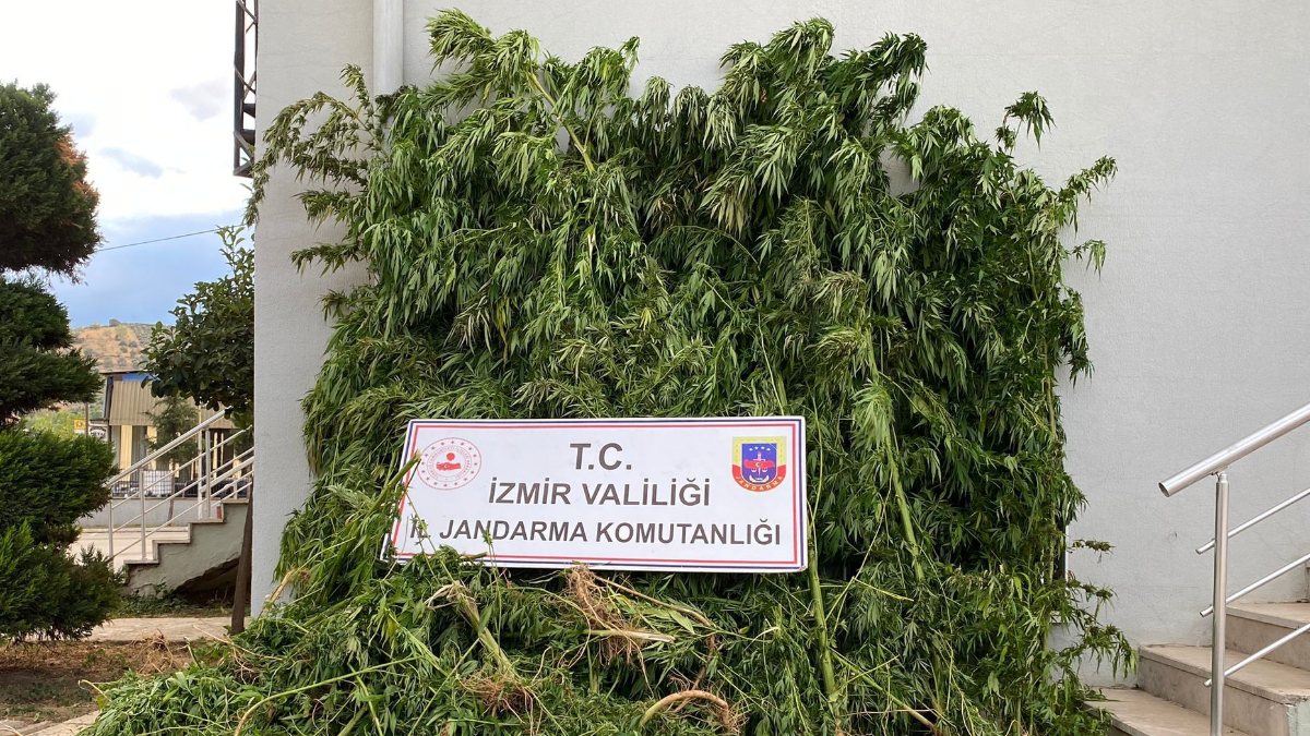 İzmir’de uyuşturucu baskını sonucu 14 şüpheli gözaltına alındı